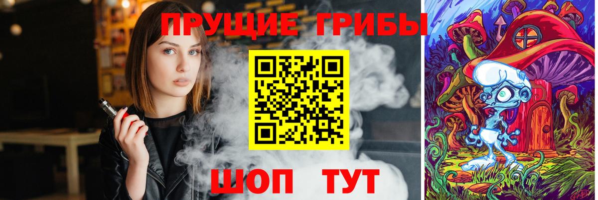 Волхов  где найти наркотики  Вход с VPN  Псилоцибиновые грибы Psilocybe 